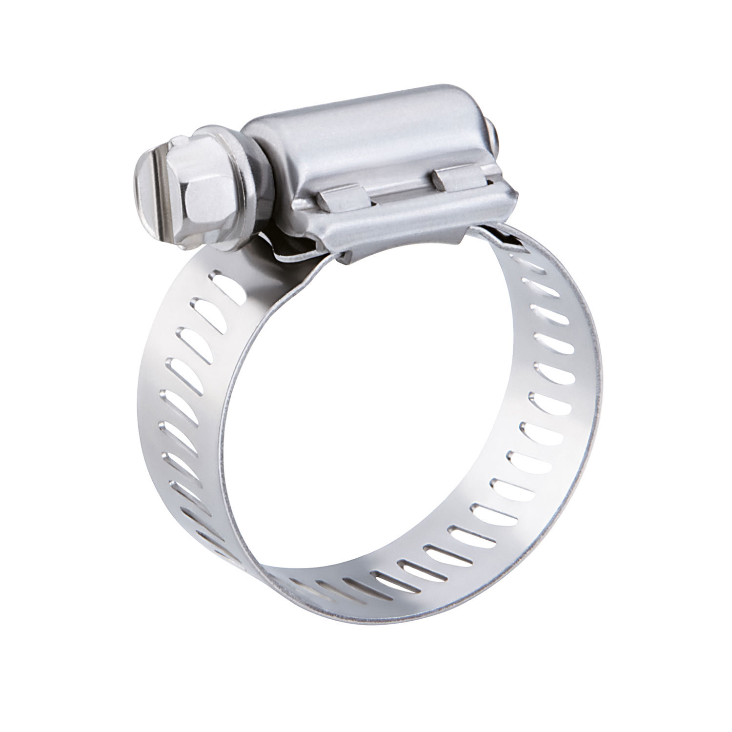 american hose clamp